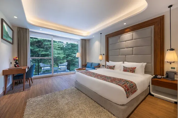 Premium Room