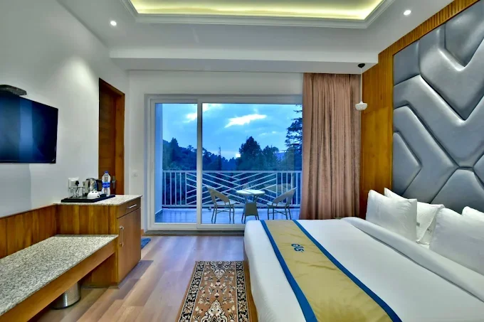 DLS Ark Holiday inn — photo 9