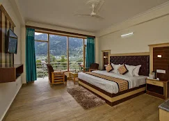 Hotel Manali Green — photo 8