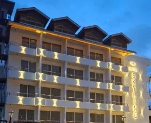 Hotel Skyline Manali - Walking to Mall Road, Centrally Heated. — photo 1