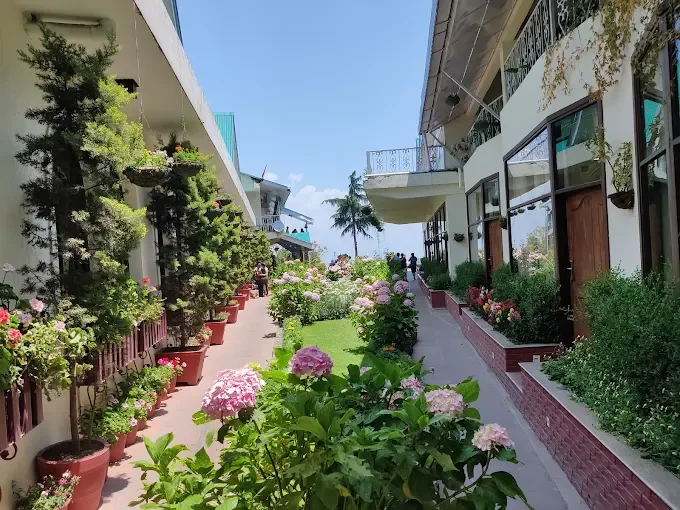 Hotel Mount View — photo 5