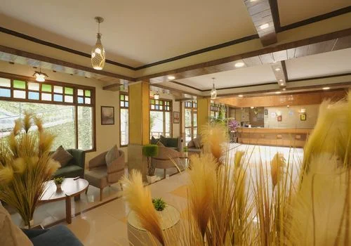 Hotel Coral Resort and Spa, Manali — photo 6