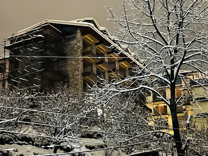 Hotel River Pine Manali — photo 2