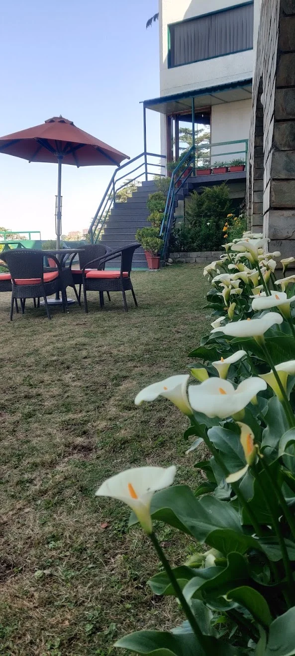 Hotel Honeymoon inn Shimla — photo 3