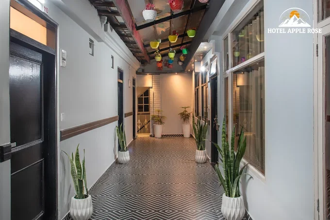Hotel Apple Rose — photo 4