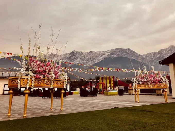 D'Polo 360 Dharamshala — photo 2