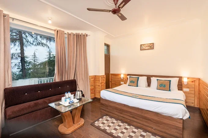 Anupam Resort By DLS Hotels — photo 9
