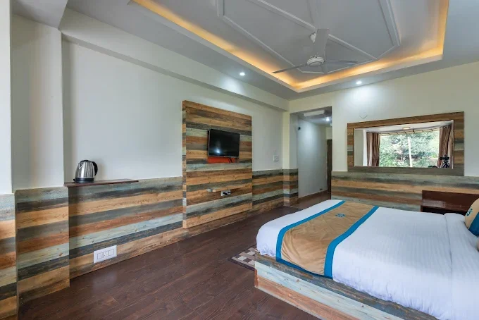 Anupam Resort By DLS Hotels — photo 8