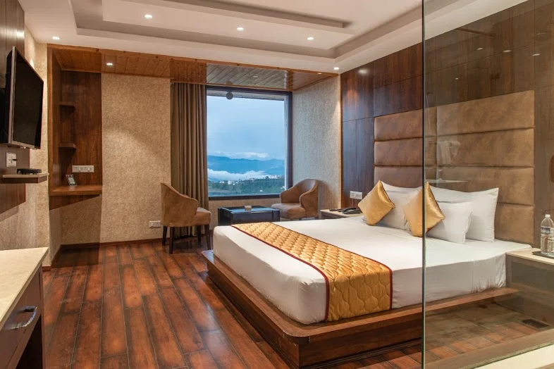 Hotel Ashirwad Castle Shimla — photo 9