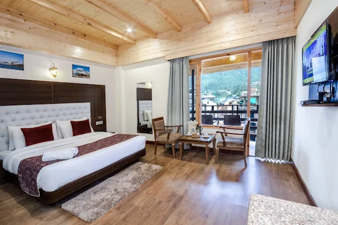 Snow Paradise Manali ( Pure Veg Hotel) — photo 8