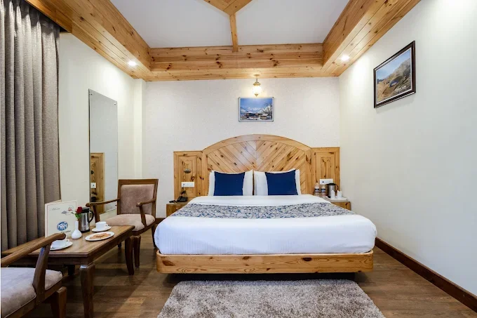 Snow Paradise Manali ( Pure Veg Hotel) — photo 7