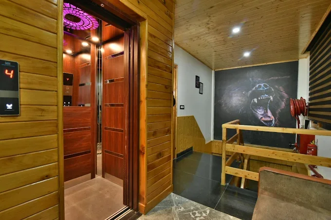 Hotel Mountain Nest Manali — photo 6