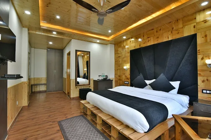 Hotel Mountain Nest Manali — photo 9