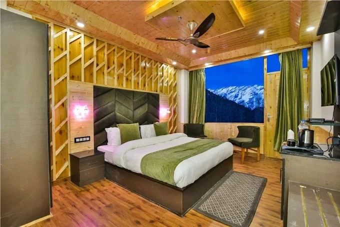 Hotel Mountain Nest Manali — photo 7