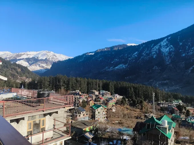 Mastiff Xanadu, Manali — photo 2