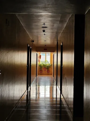 Hotel Swan - 2 — photo 5