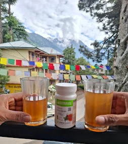 Abhishek home stay — photo 4