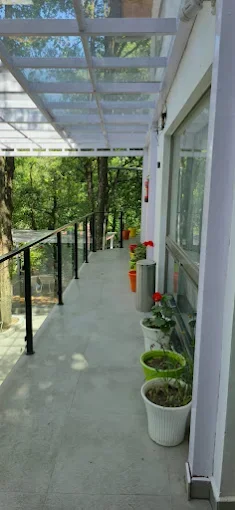 DLS Hotels Emerald nainital — photo 5