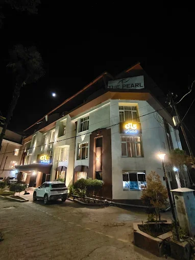 The Pearl by DLS Hotels Mussoorie — photo 2