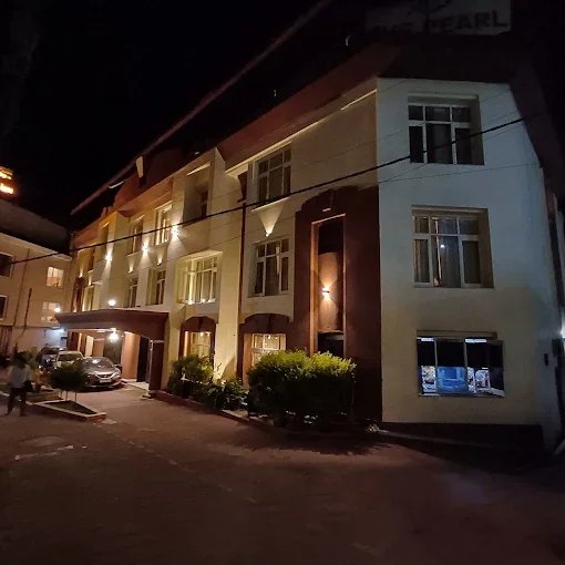 The Pearl by DLS Hotels Mussoorie — photo 3